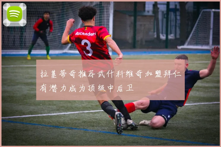 拉基蒂奇推荐武什科维奇加盟拜仁有潜力成为顶级中后卫