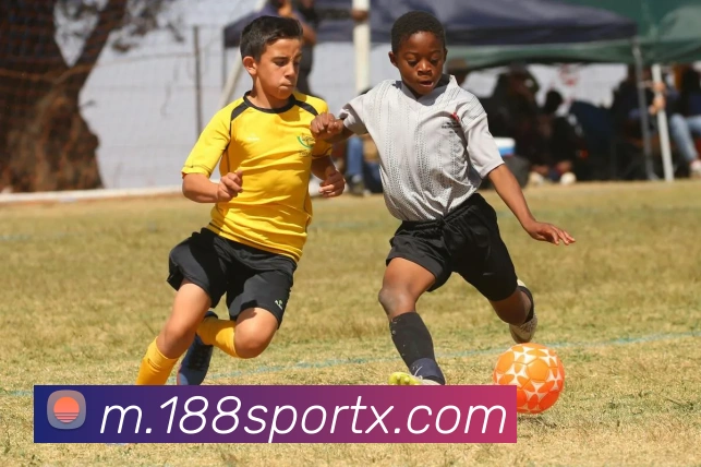 188bet主站平台生态图